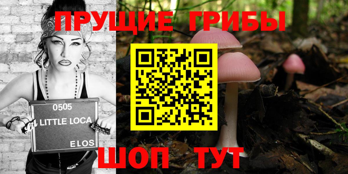Балашиха  Псилоцибиновые грибы прущие грибы  Вход с VPN 