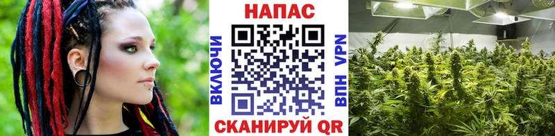 МАРИХУАНА план  Балашиха 